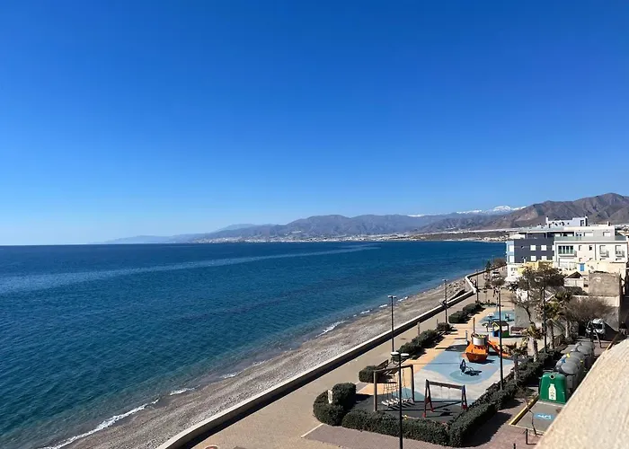 Апартаменты Playa Balerma Эль-Эхидо